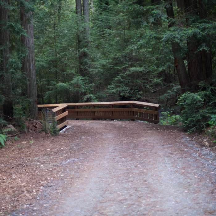 Near Redwood Springs Trail