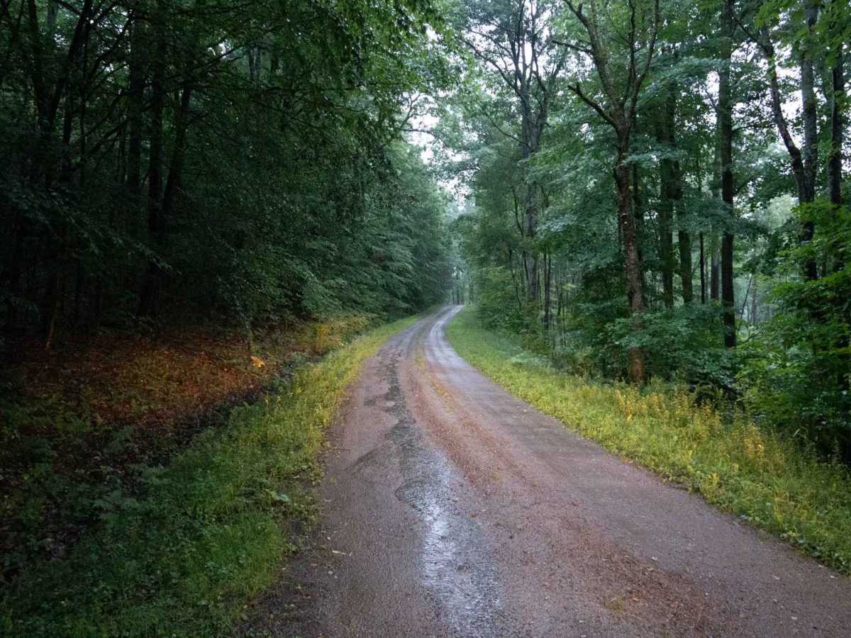 McCarty Hill East Forest Road photo 5