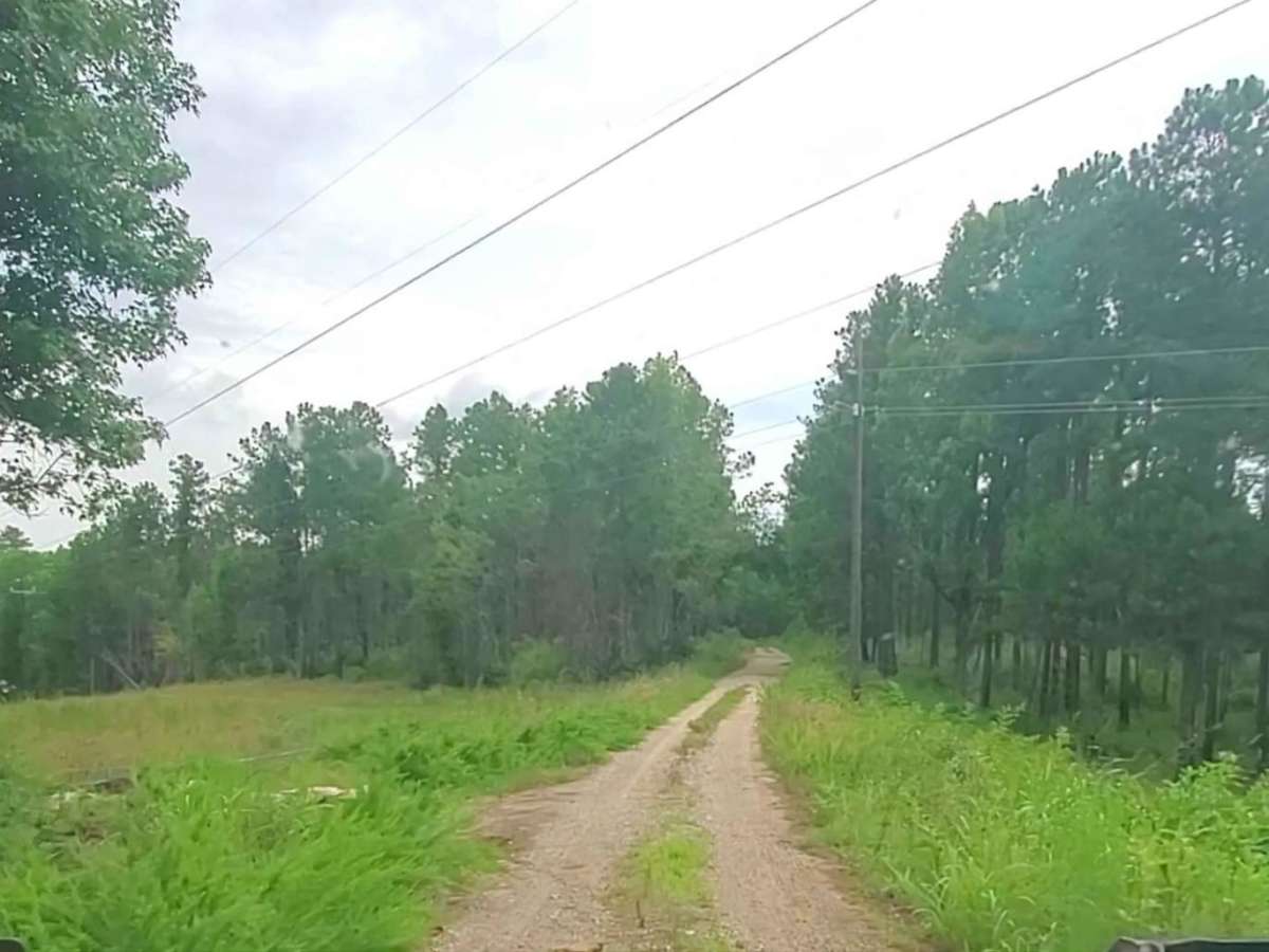 Hopewell Church - Lost wilderness traverse (661/669B) photo 4