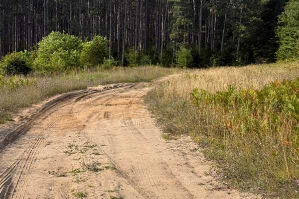 Pine Ridge Trail
