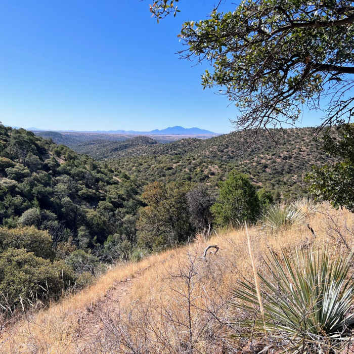 Near Parker Lake to Middle Canyon Loop