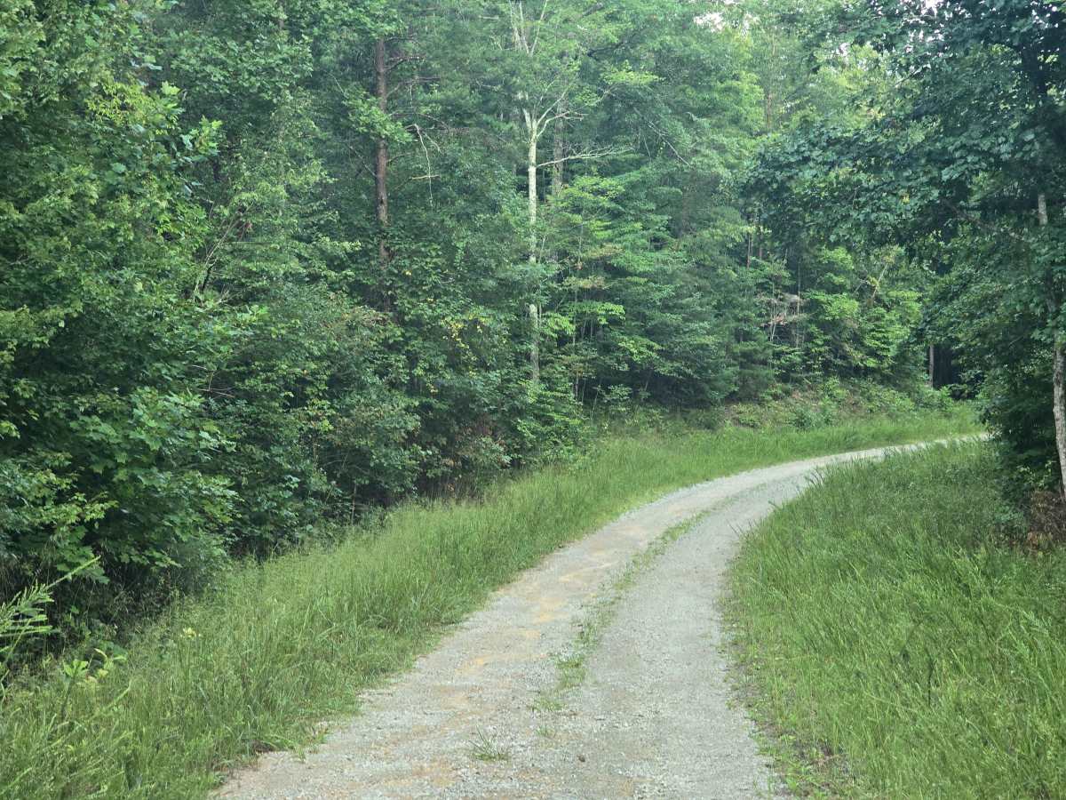 Joe Branch Road photo 4