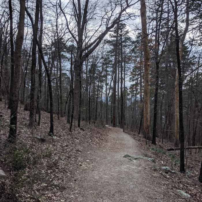 The trail levels out in some areas but has a steady uphill incline. My 7 year old was able to do it without issues but those with limited mobility may struggle and can drive up. Near Honeysuckle Trail