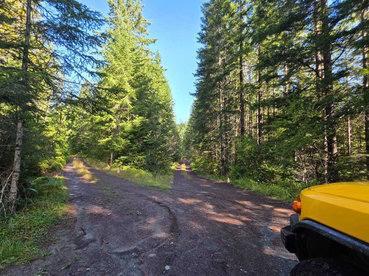NF2840 trail photo