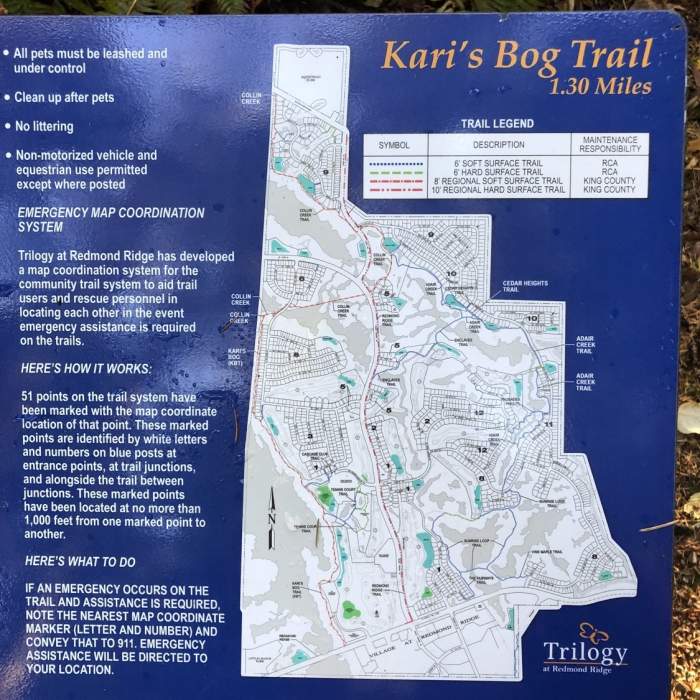 Map of the trail Near Collin Creek Trail