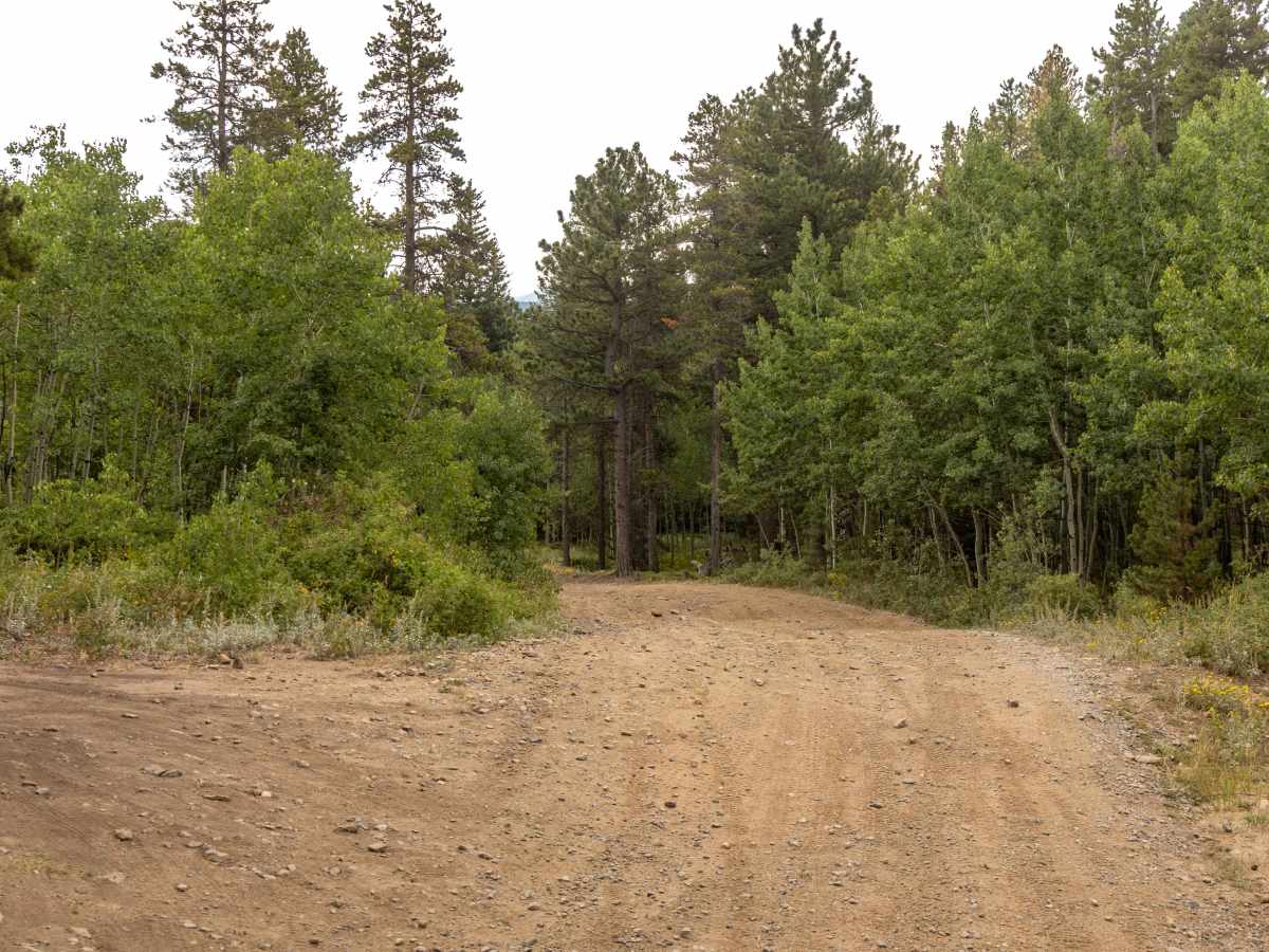 Gordon Gulch photo 5