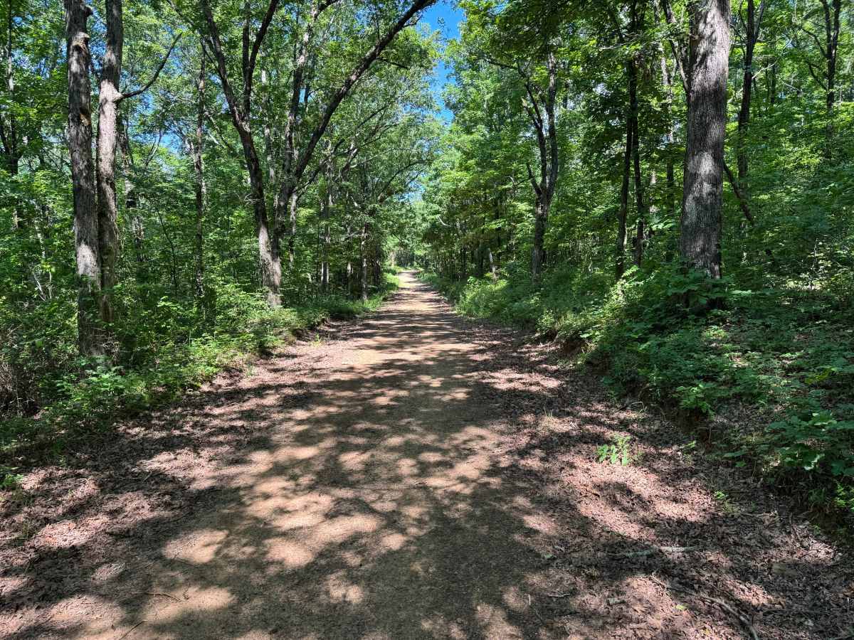County Road 419 photo 5
