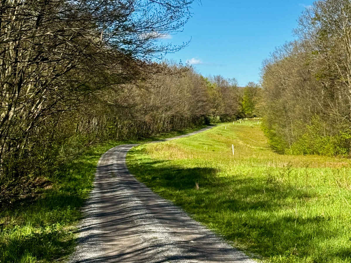 Colby Road photo 5