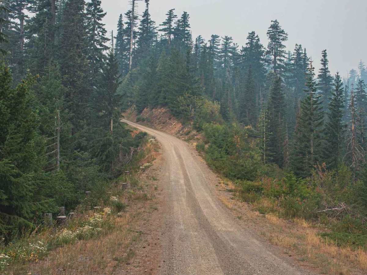 Buck Mountain photo 6