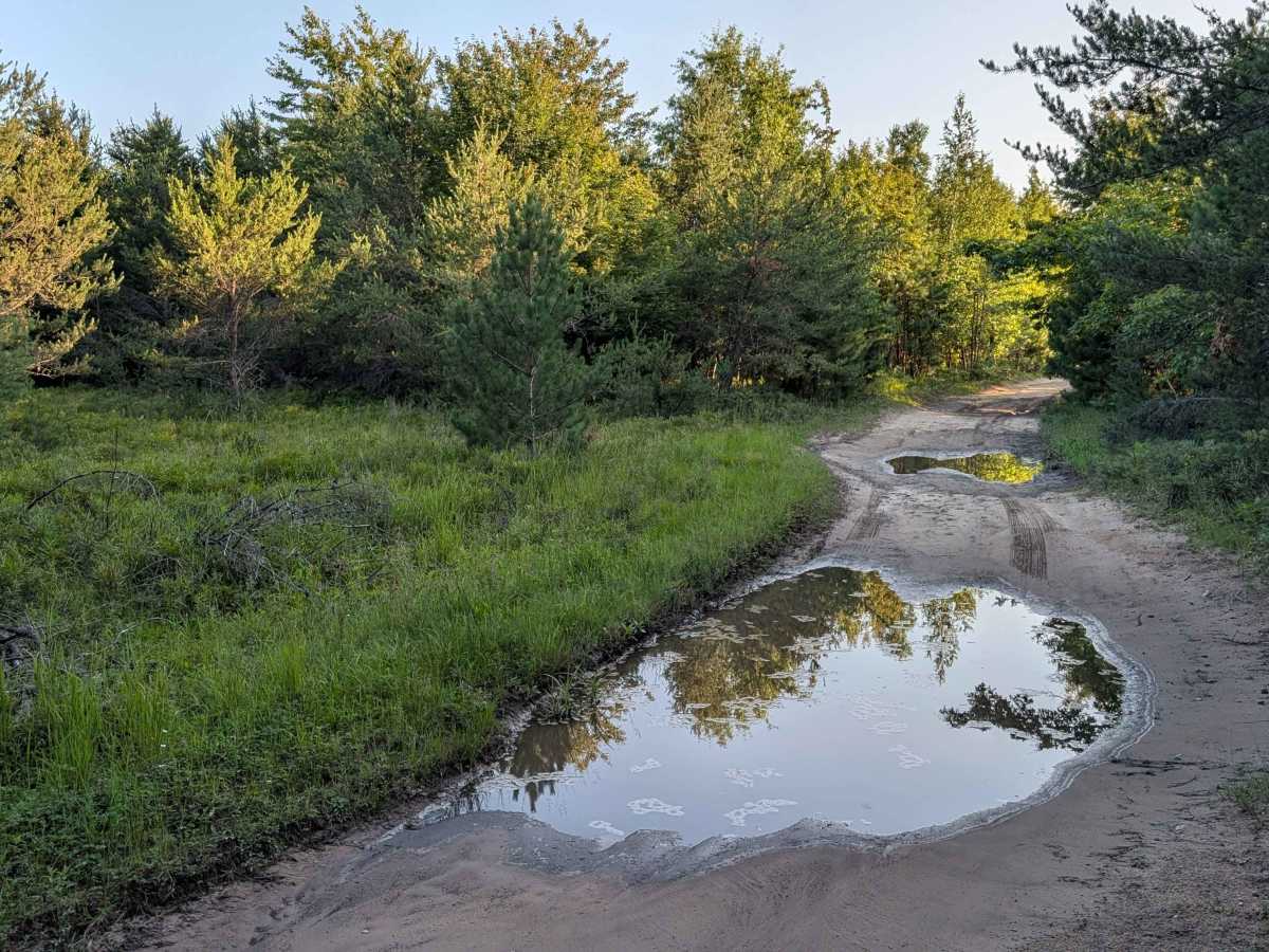 The Flats Trail trail photo