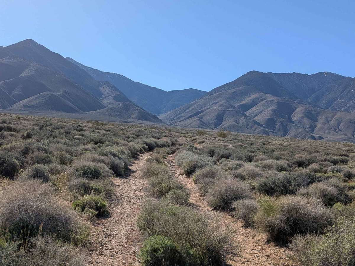 BLM 37E402 photo 4