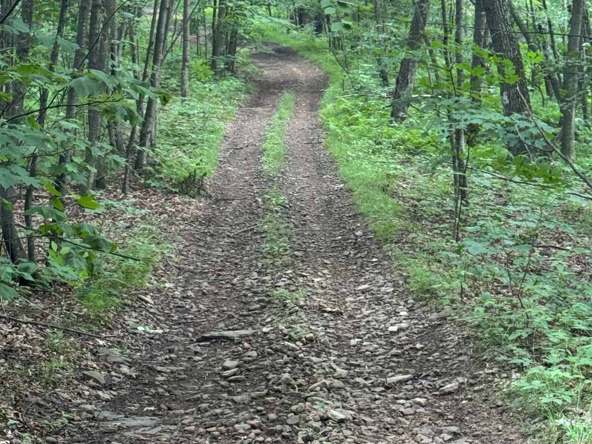 Trail 78 photo 2