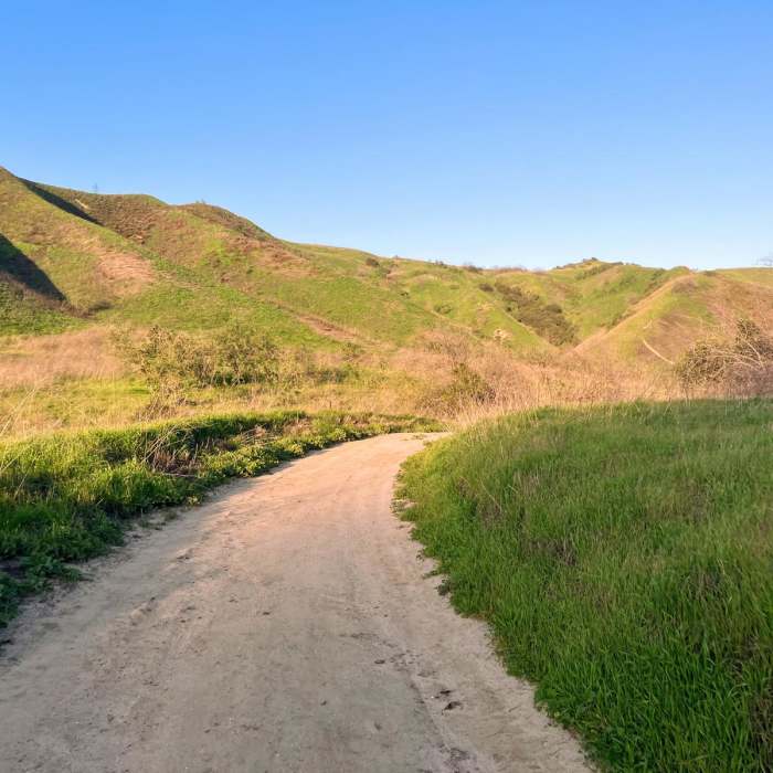 Near Telegraph/South Ridge Loop Near Telegraph/South Ridge Loop