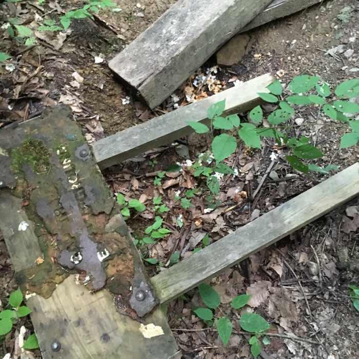 Near Lover's Leap Trail