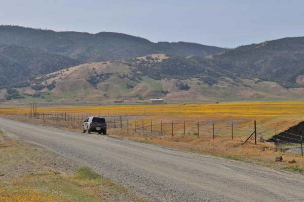 Bear Valley Road Trail