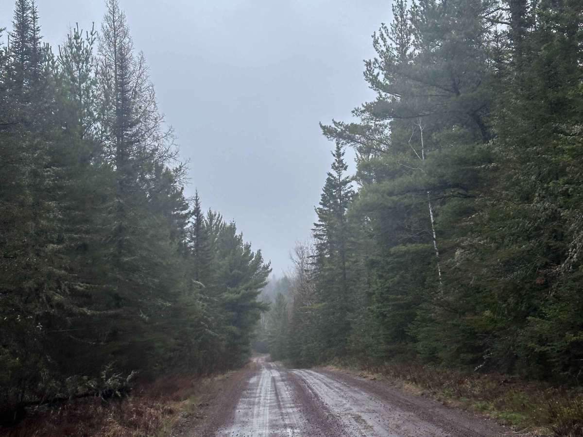 Pine Mountain Road photo 5