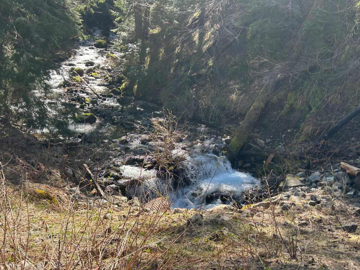Lava Creek Road photo 6