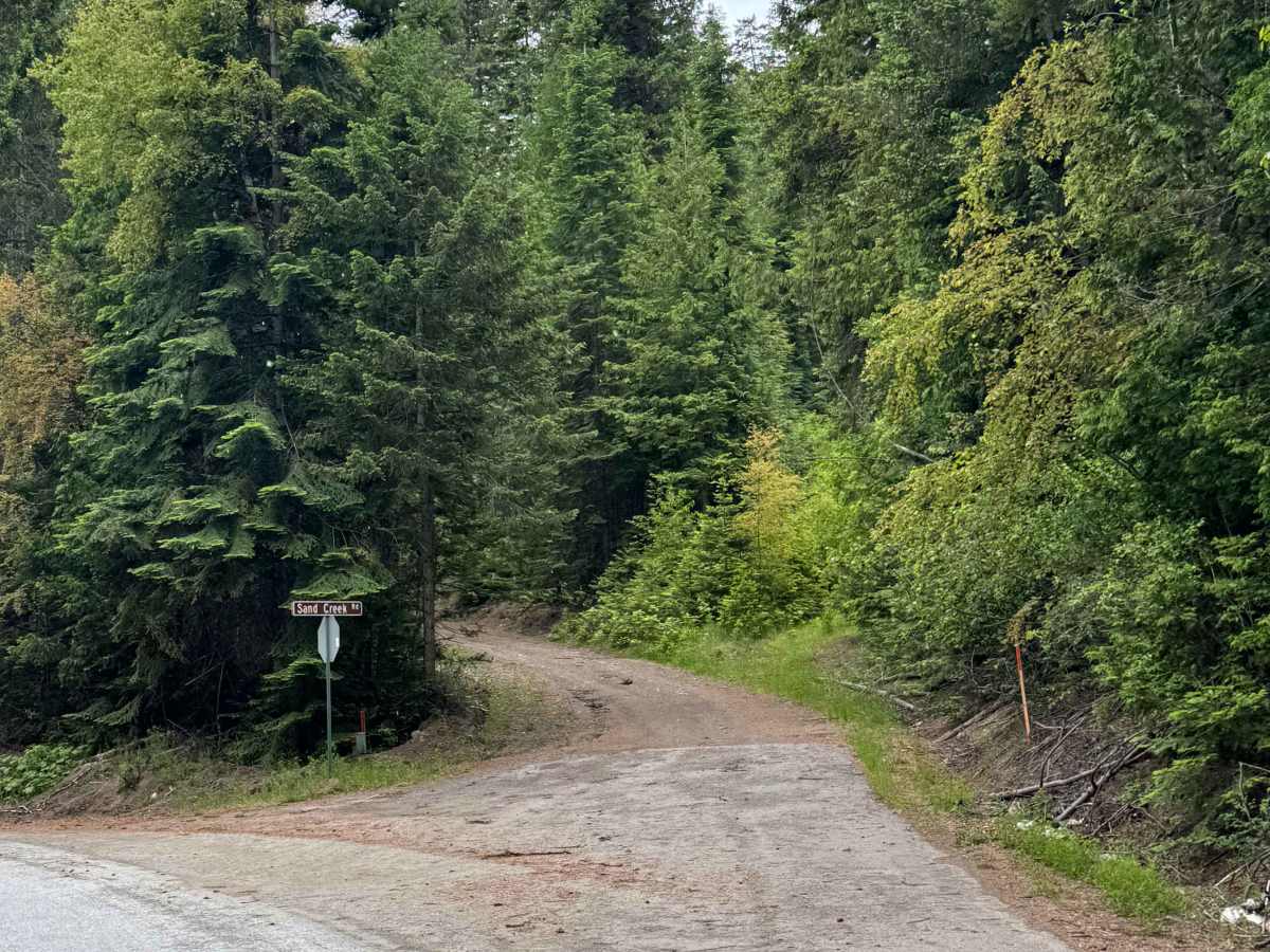 Radio Spur - FS 3300-148 trail photo