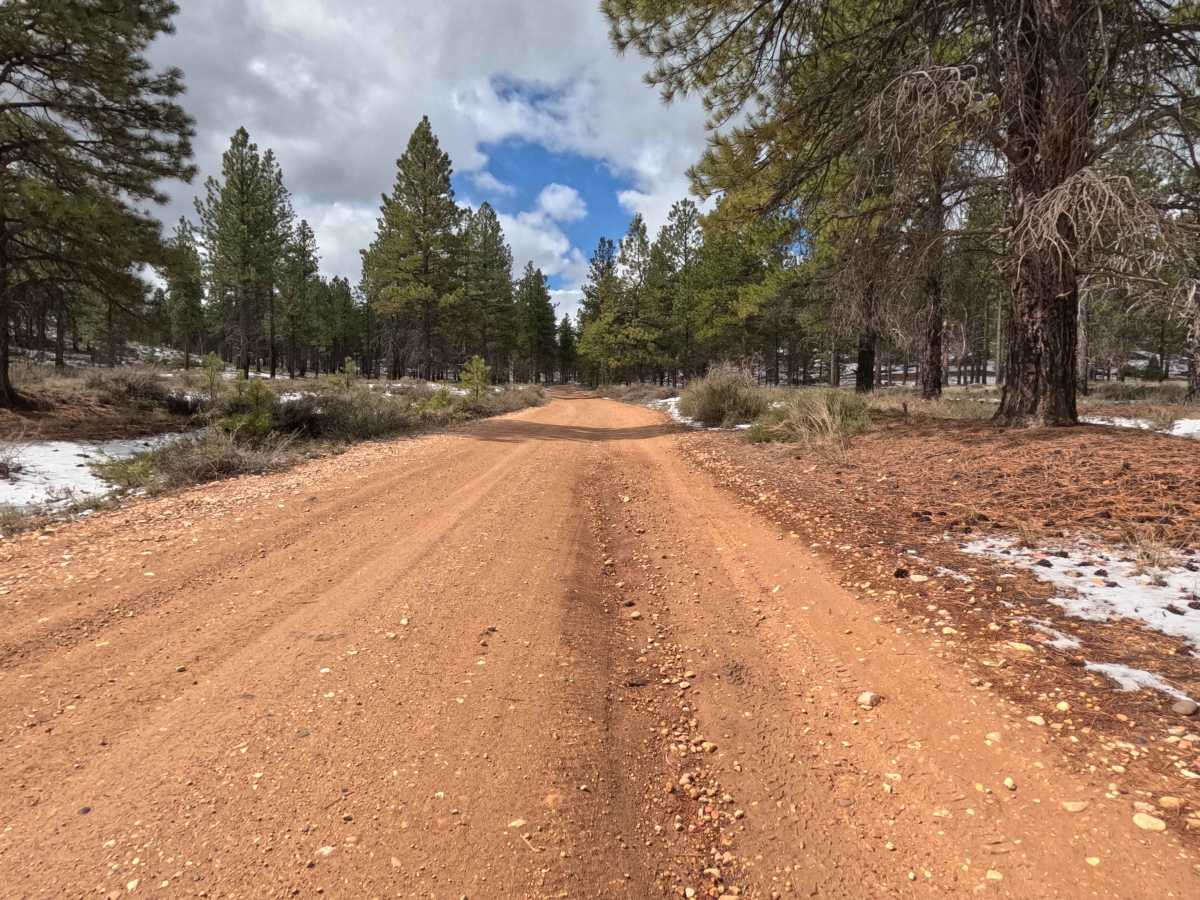 Great Western Trail - FS 30090 photo 5