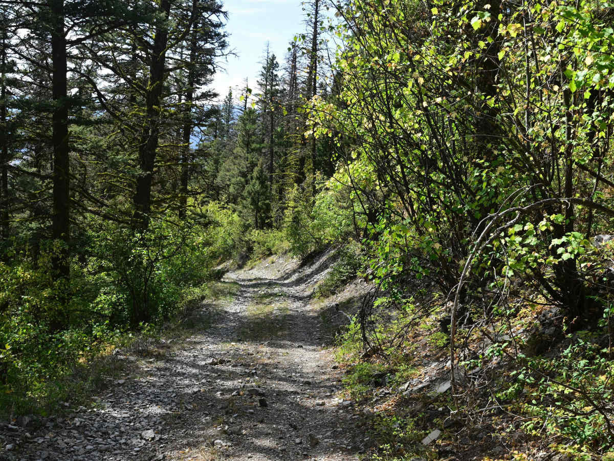 Blackfoot Mine Loop trail photo