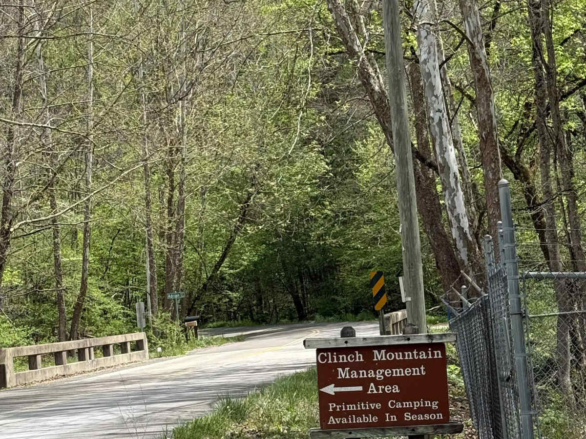 Tumbling Creek Road photo 3