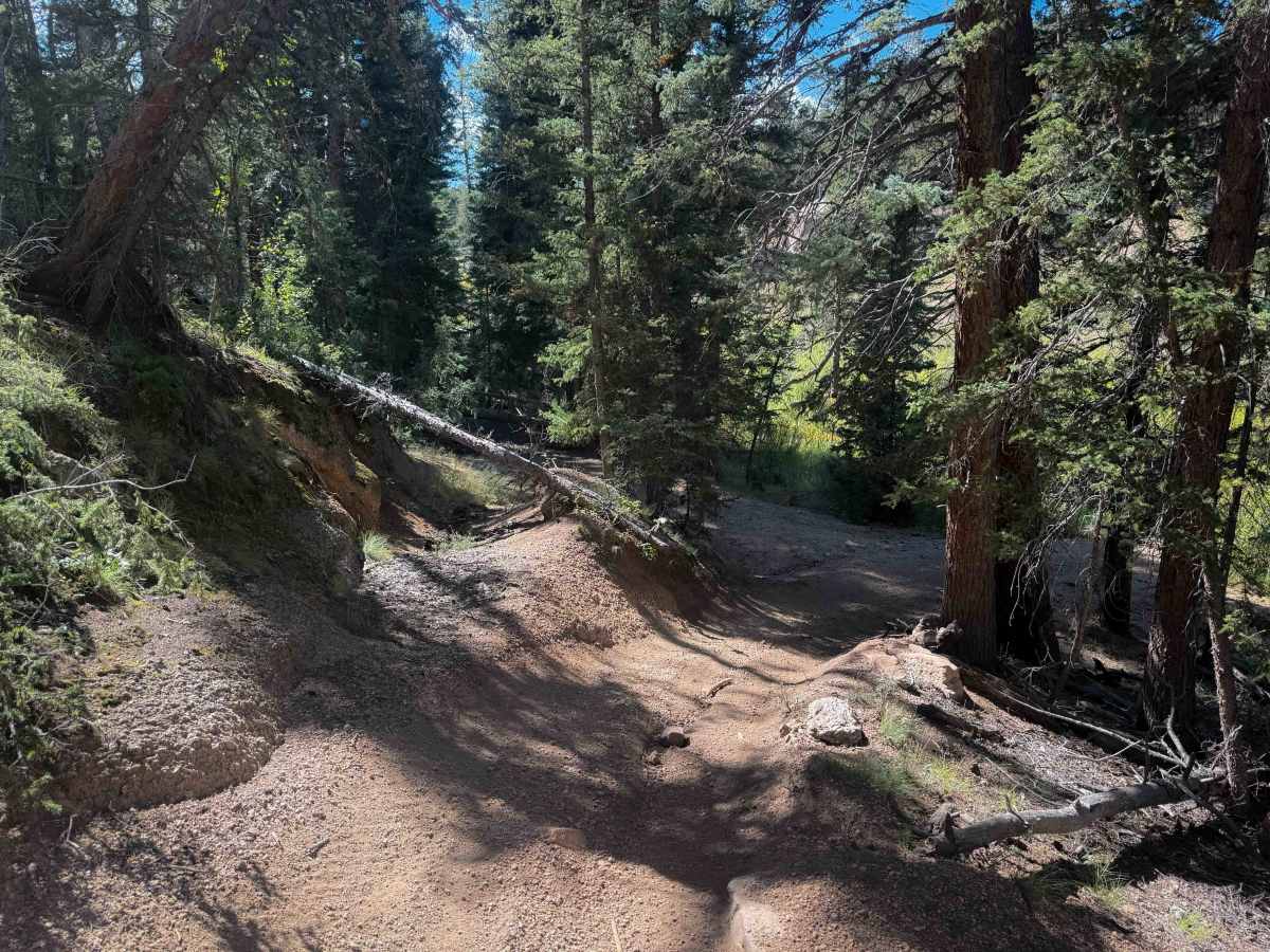 Davis Spur Trail 717C trail photo