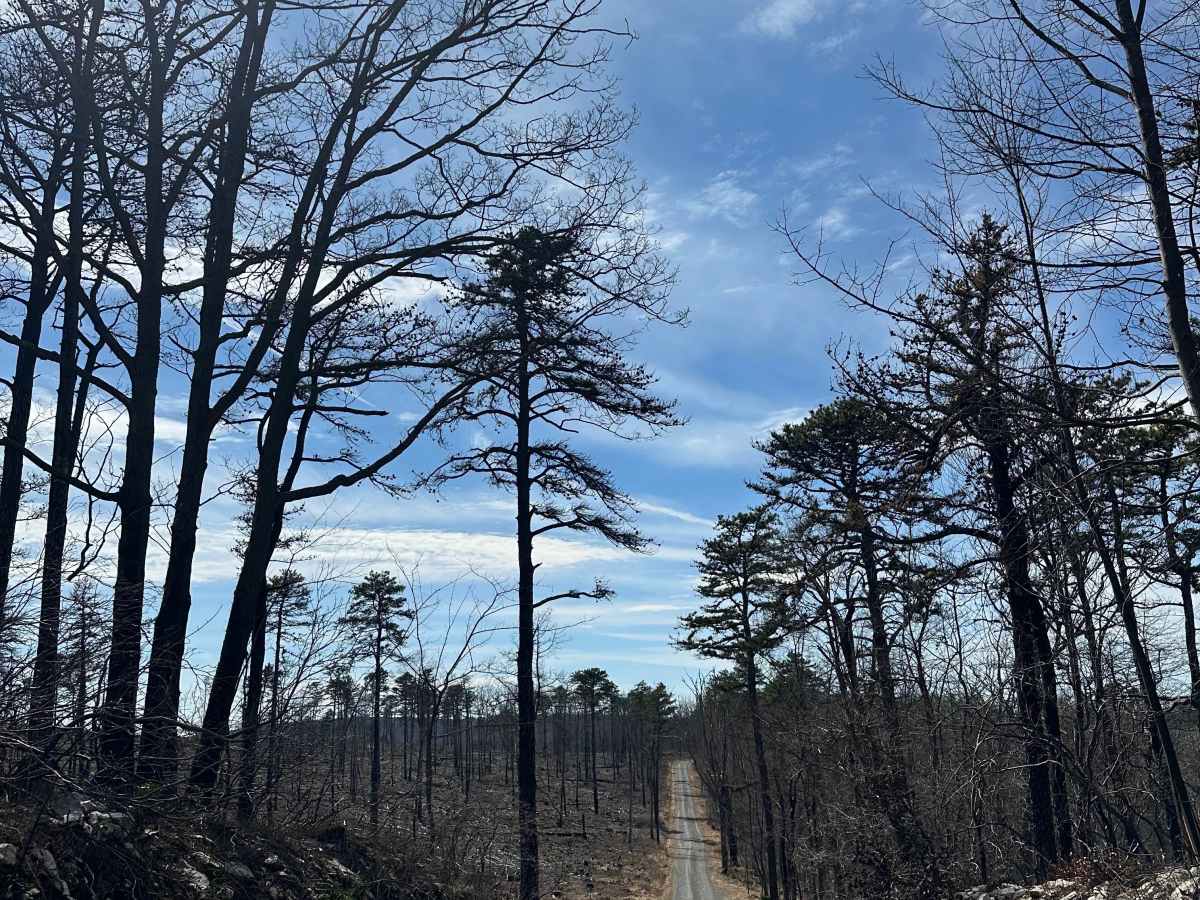 Thompson Hollow Road  photo 2