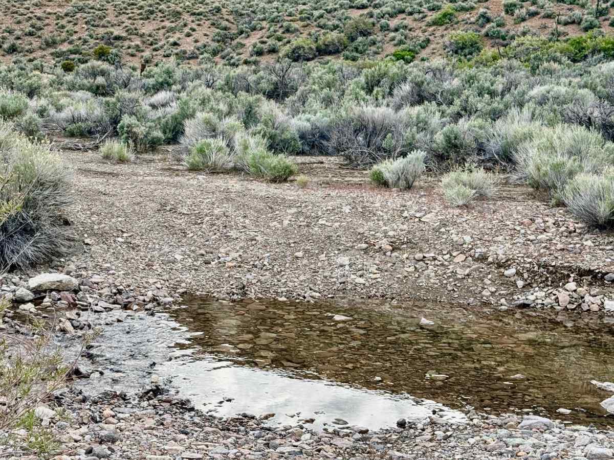 Barrel Spring Dry Canyon - FS 44451 photo 5