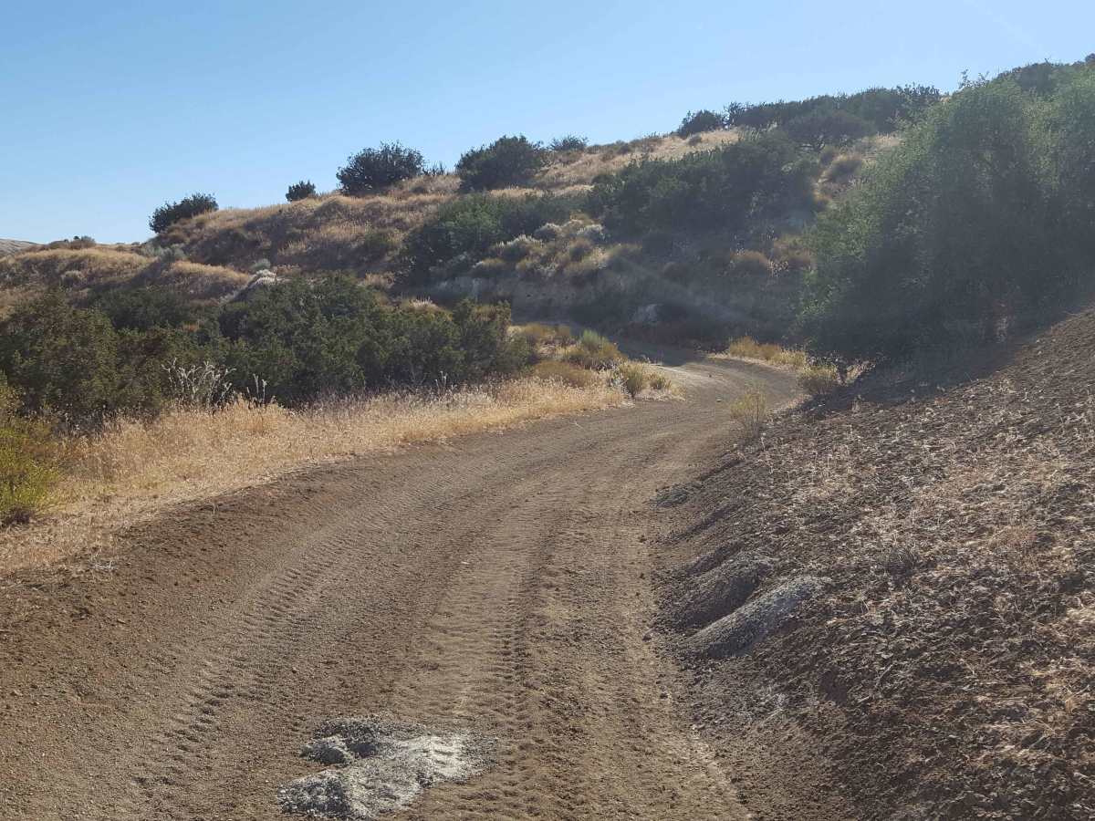 Trail 40 photo 5