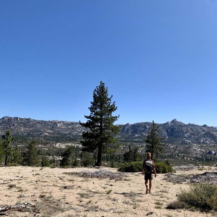 Near Woodpecker Trail Near Woodpecker Trail