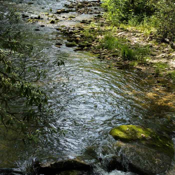 Near John Rock via Cat Gap Loop Near John Rock via Cat Gap Loop