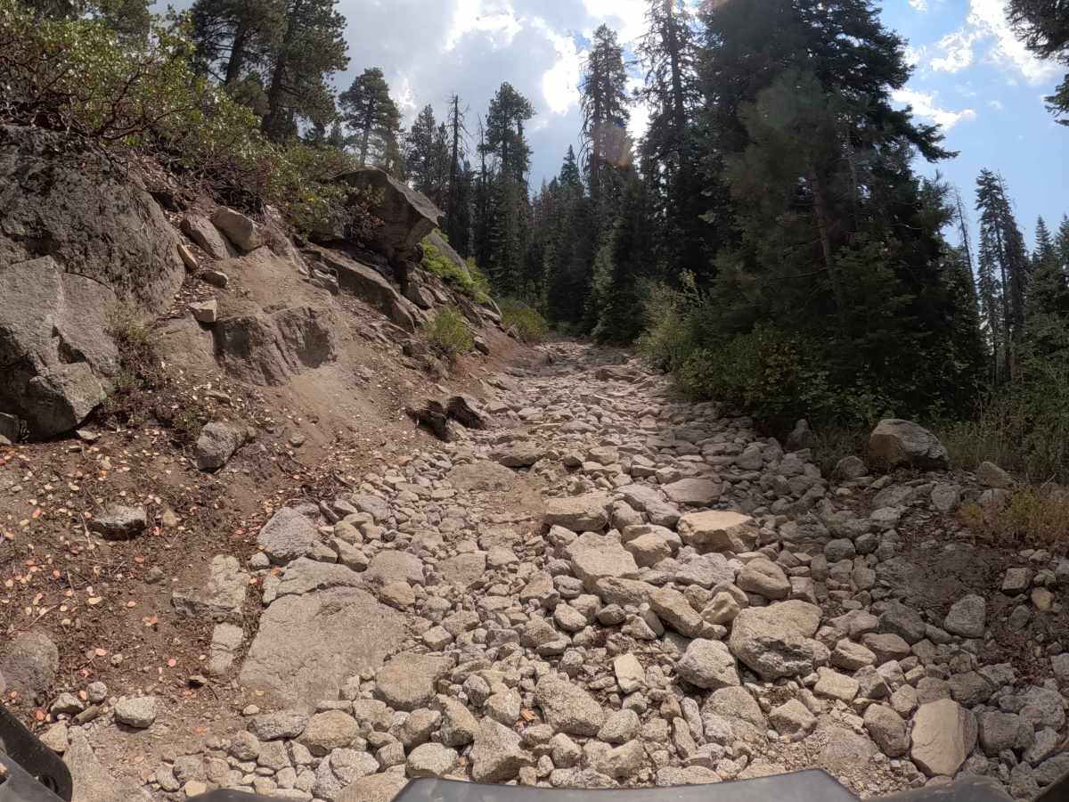 Tri Tip - FS 26E360 trail photo