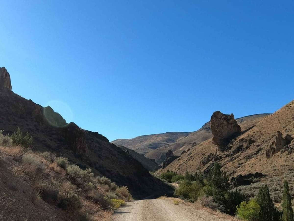 Birch Creek Road photo 6