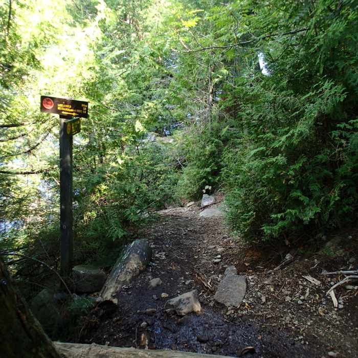 Start of trail up Mt. Colden. Near Mount Colden Trail