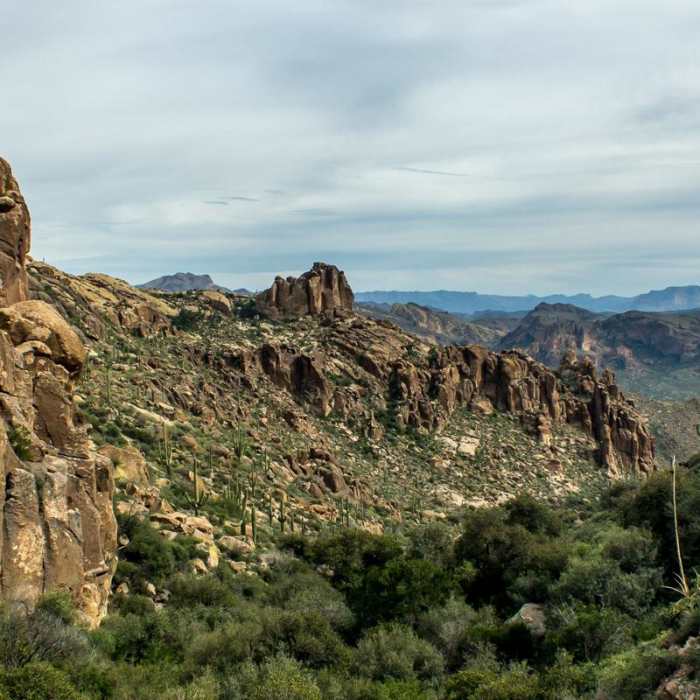 Near Peralta Out and Back