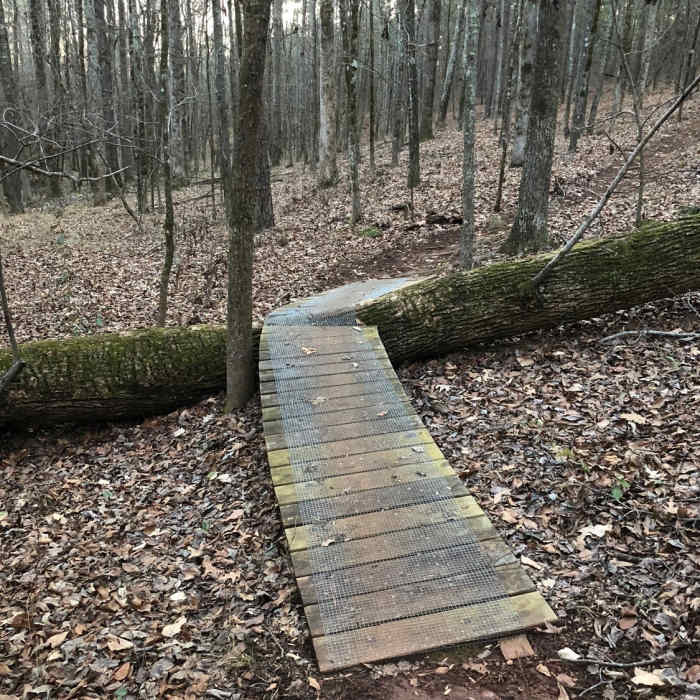 A neat bike ramp to get over a tree. Near Turkey Run
