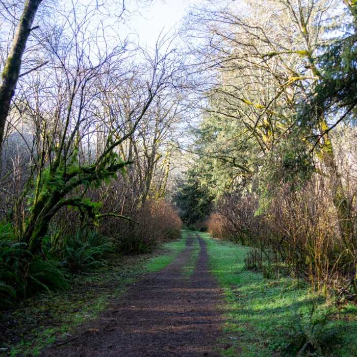 Near God's Thumb Loop