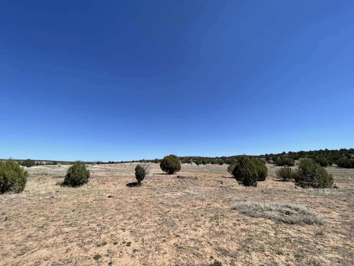 Just Grazing Trail photo 2