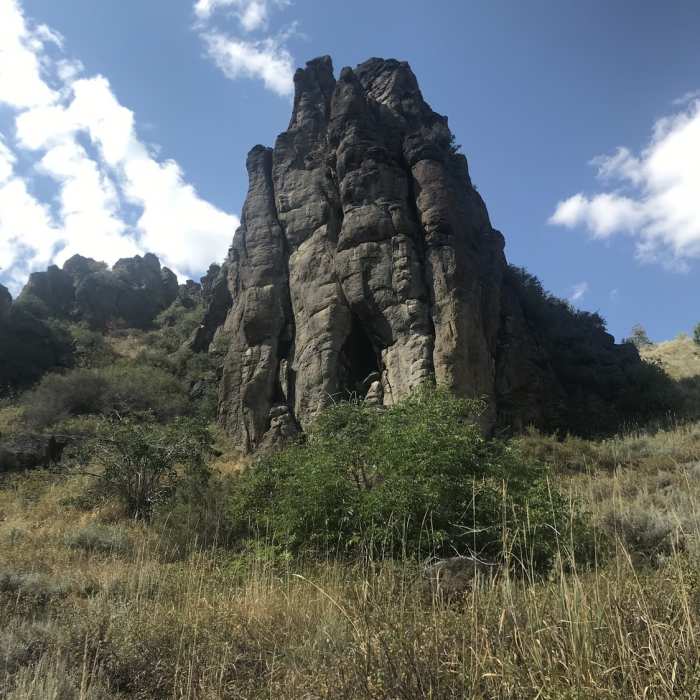 Near Trapper Creek #010