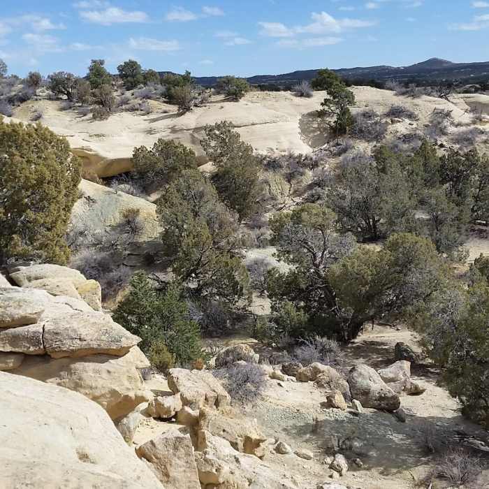 Near Alien Run