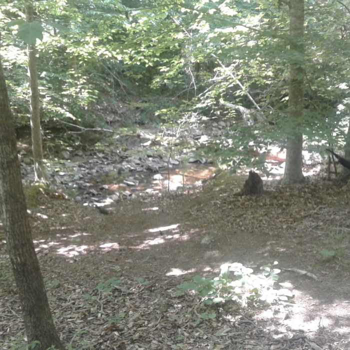 Wonderful view of Ledge Creek. Near Ledge Creek Forest Conservation Area