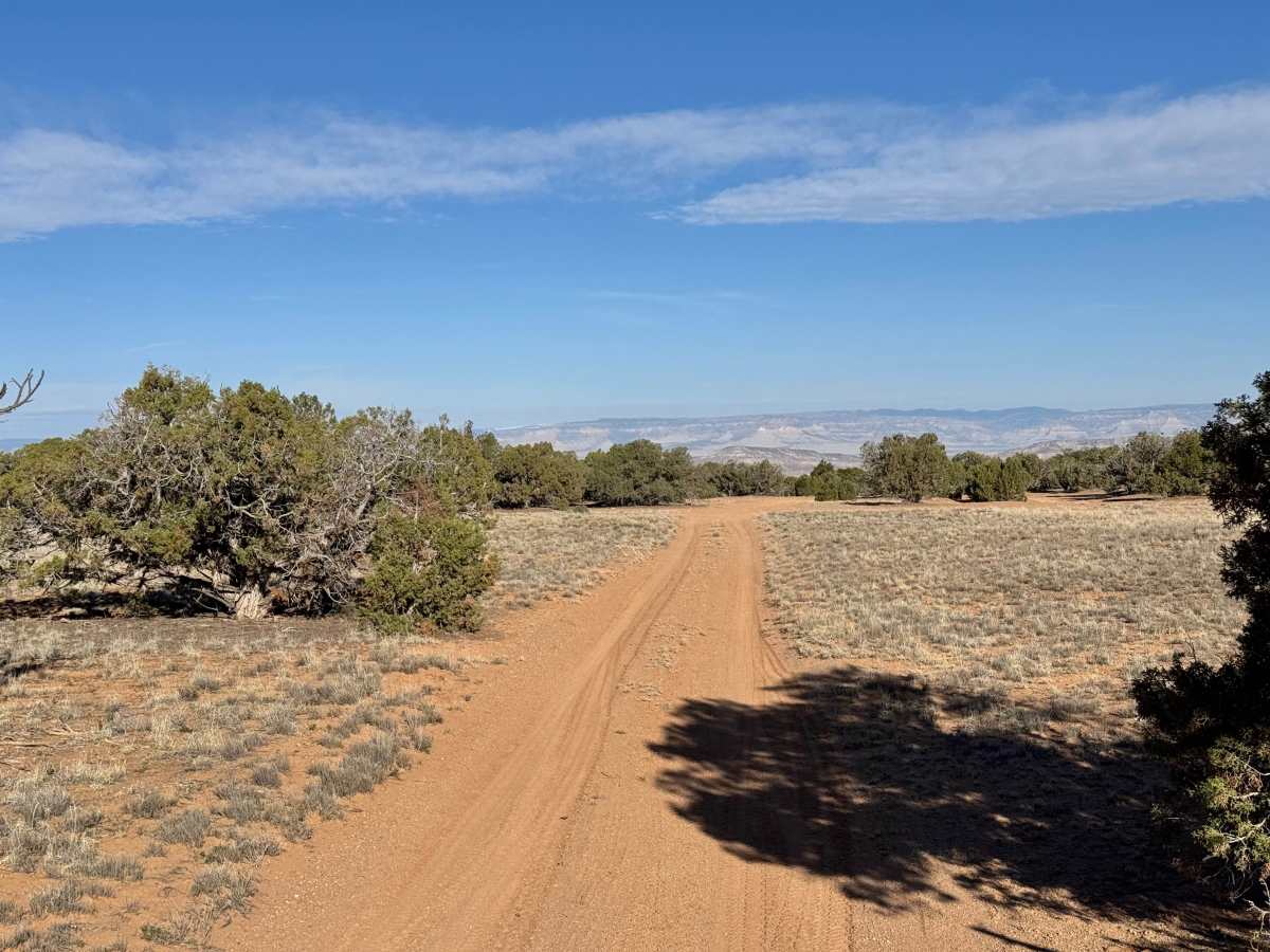 BLM 626 Cutoff trail photo