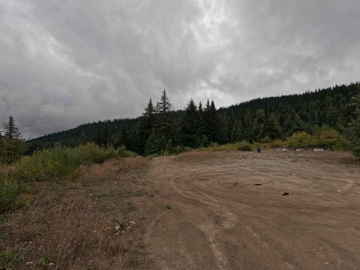 Butch Creek - FS 1142 trail photo