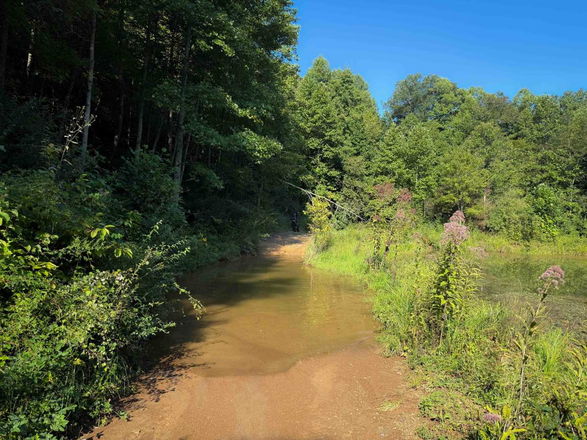 Thompson Hollow 35  photo 3