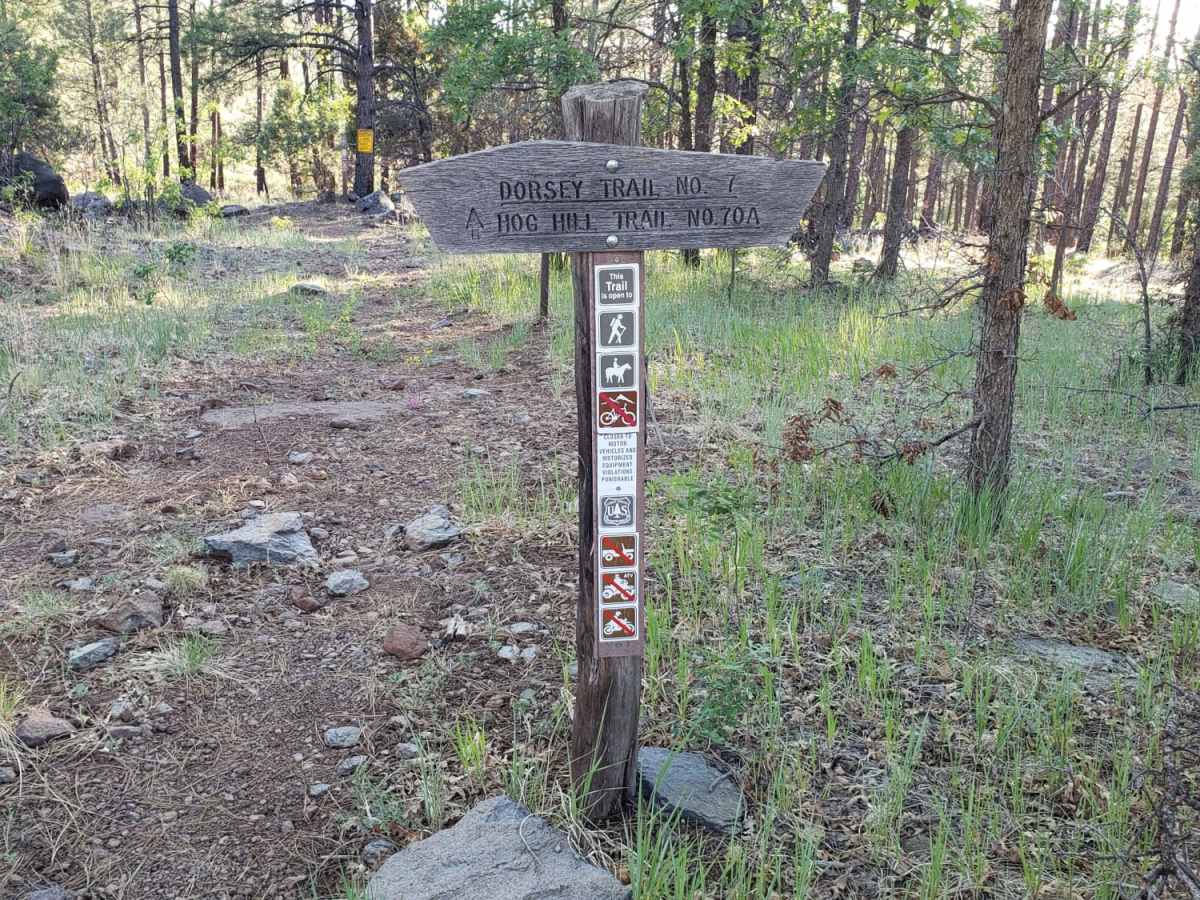 Dorsey Spring Trailhead photo 5
