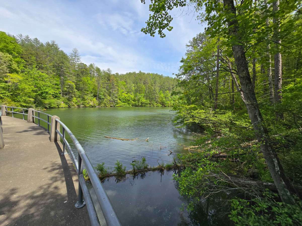 Little Dam Road photo 4