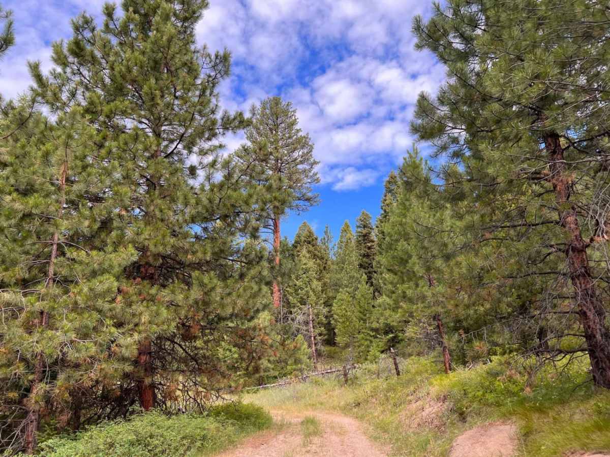 Guide Finger Open trail photo