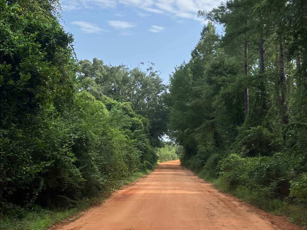 Paul Barnes Road trail photo