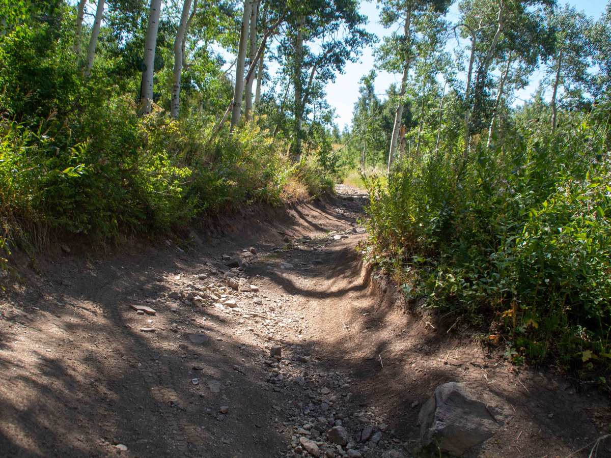 Lower Parish Creek photo 6