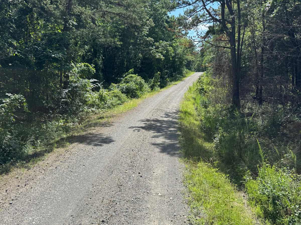South Fork Road trail photo